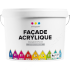 Vincent Facade Acrylique F 2 (Винсент Фасад Акрилик) А, Фасадная, суперстойкая  краска, 9л